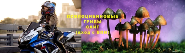 альфа пвп Беломорск